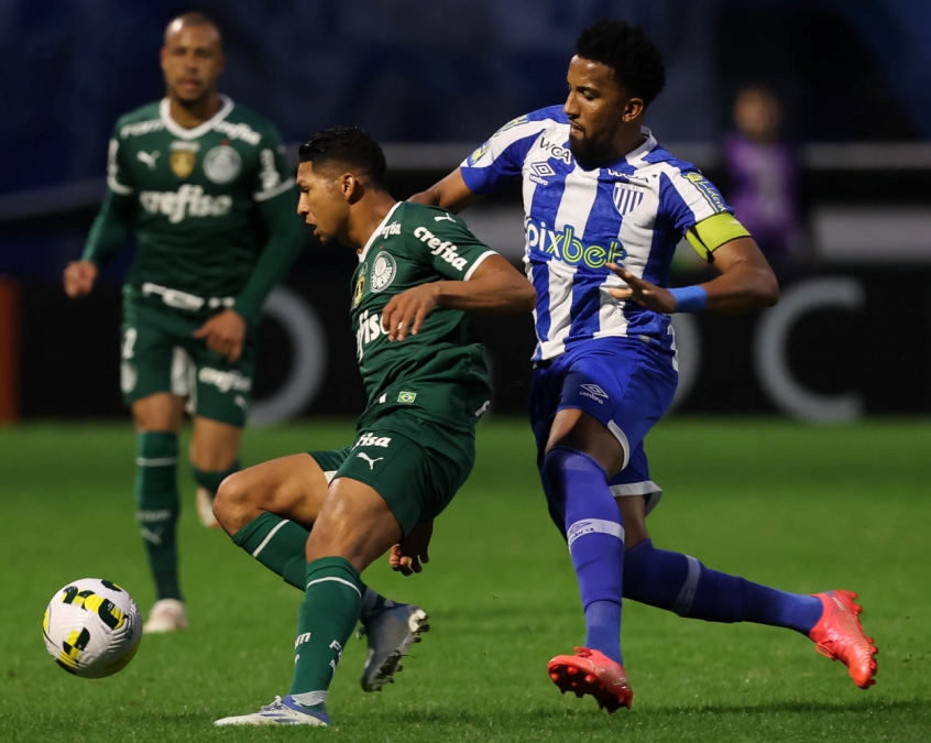 Palmeiras x Avaí: veja onde assistir ao duelo válido pelo Campeonato Brasileiro