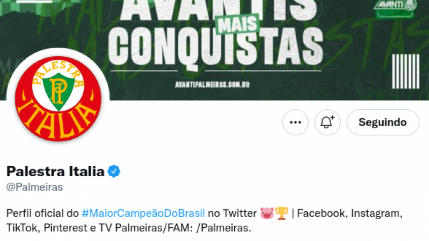Entenda por que o Palmeiras alterou sua foto de perfil nas redes sociais
