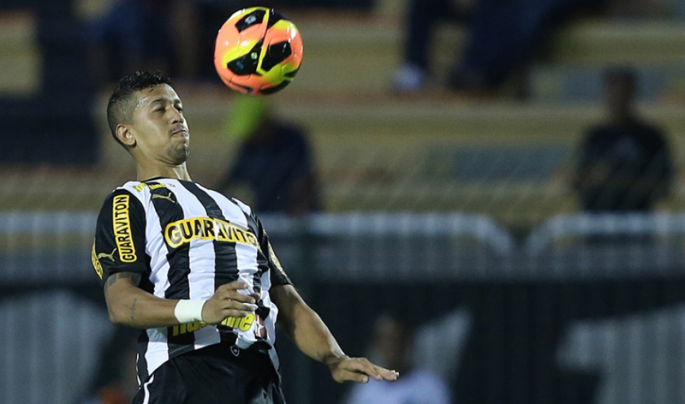 Antônio Carlos - Botafogo 2011 (foto:Divulgação)