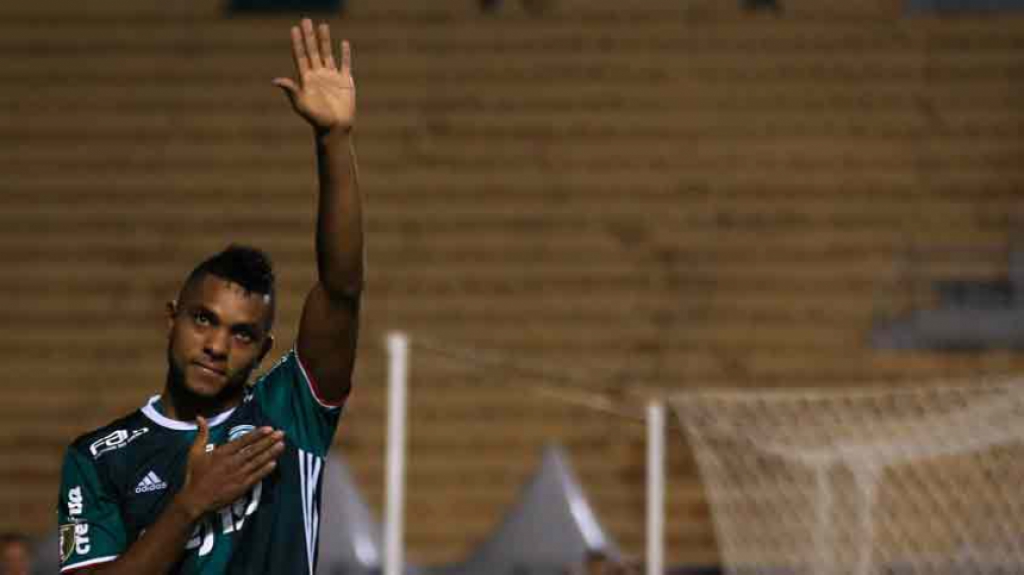 Palmeiras x Novorizontino