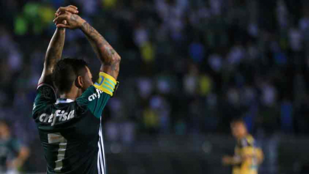 Palmeiras x Novorizontino