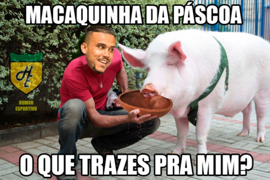 Palmeiras não escapou das zoações após derrota para Ponte Preta