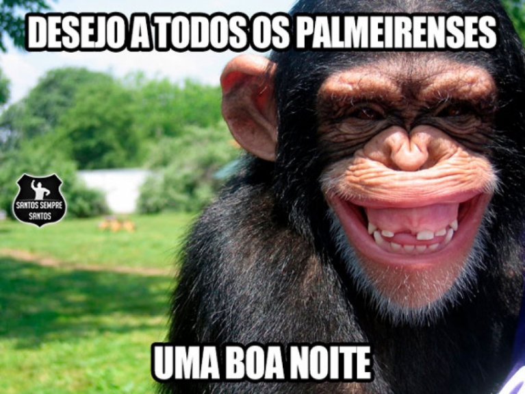 Rivais provocaram o Palmeiras com memes nas redes sociais