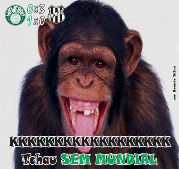 Rivais provocaram o Palmeiras com memes nas redes sociais