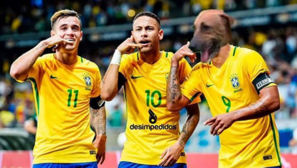 Cachorro invade campo e gera memes na internet