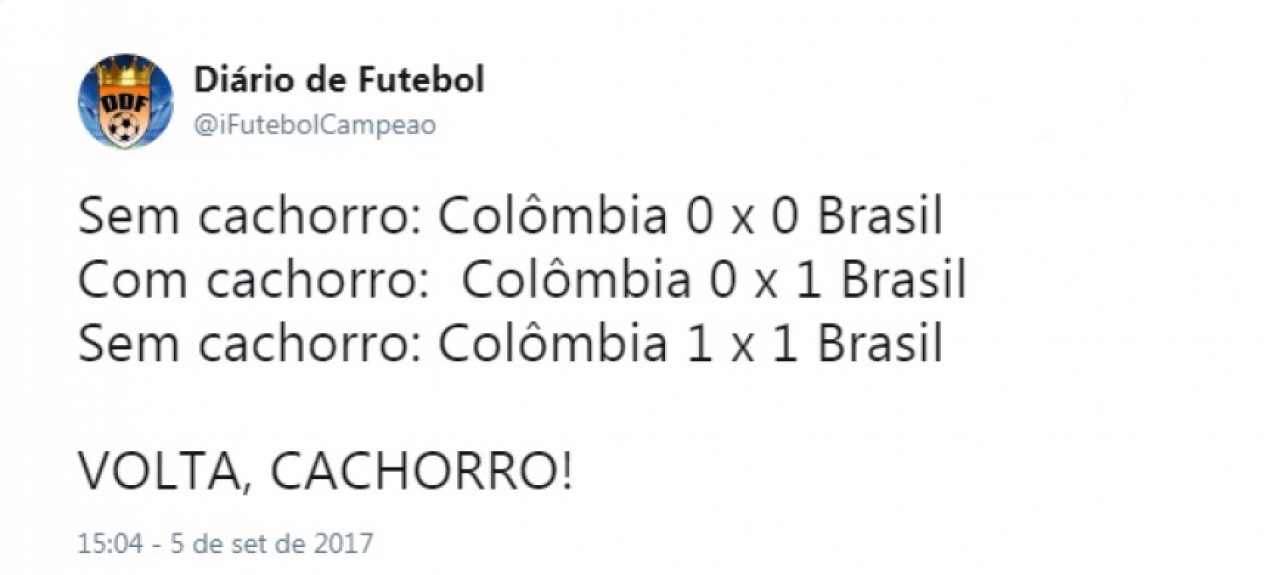 Cachorro invade campo e gera memes na internet