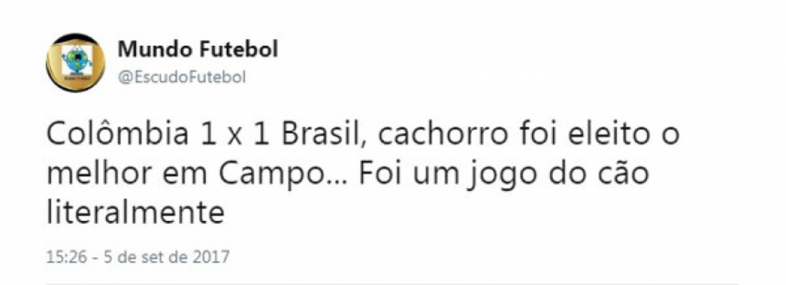 Cachorro invade campo e gera memes na internet