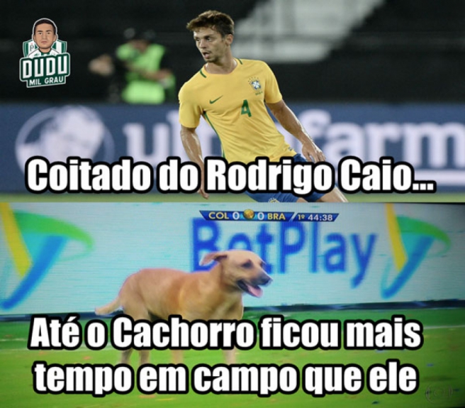 Cachorro invade campo e gera memes na internet