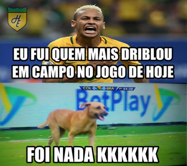 Cachorro invade campo e gera memes na internet