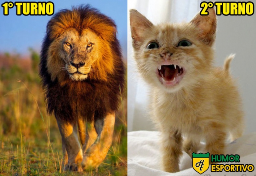 O antes e depois do líder do Brasileirão