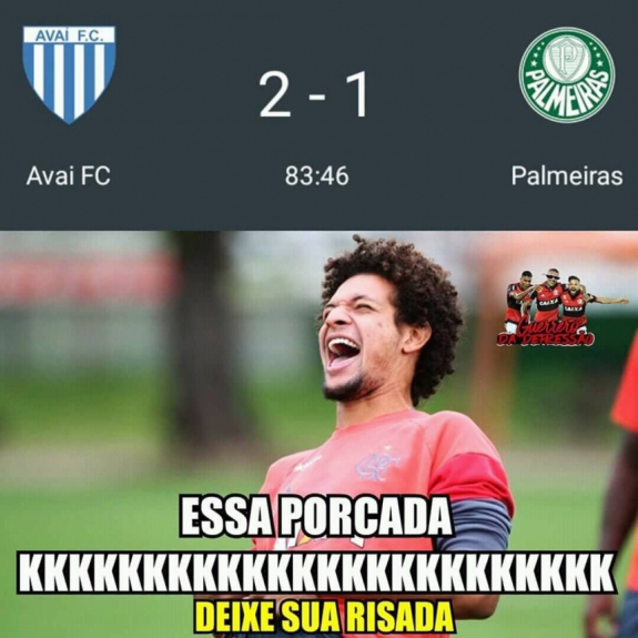 Os melhores memes de Avaí 2 x 1 Palmeiras