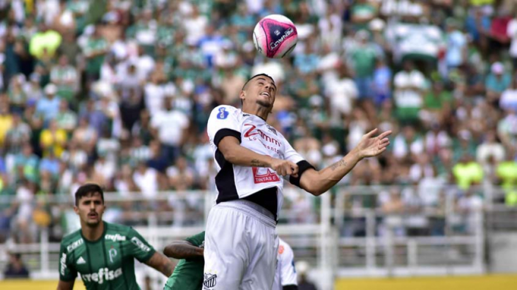 Bragantino x Palmeiras