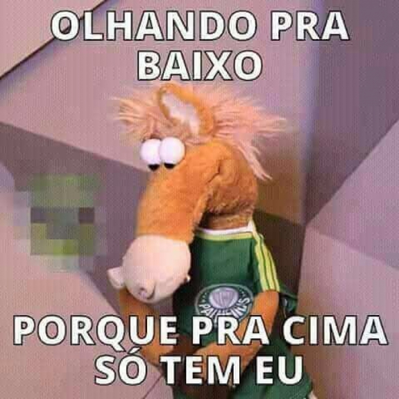 Torcedores do Verdão postam montagens comemorando a boa fase