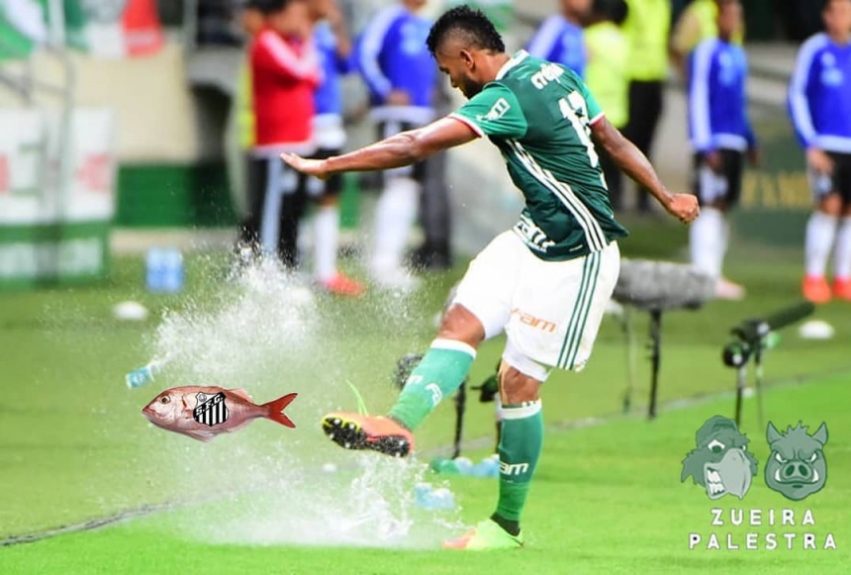 Os melhores memes da classificação do Palmeiras diante do Santos