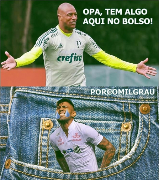 Os melhores memes da classificação do Palmeiras diante do Santos