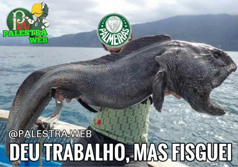 Os melhores memes da classificação do Palmeiras diante do Santos