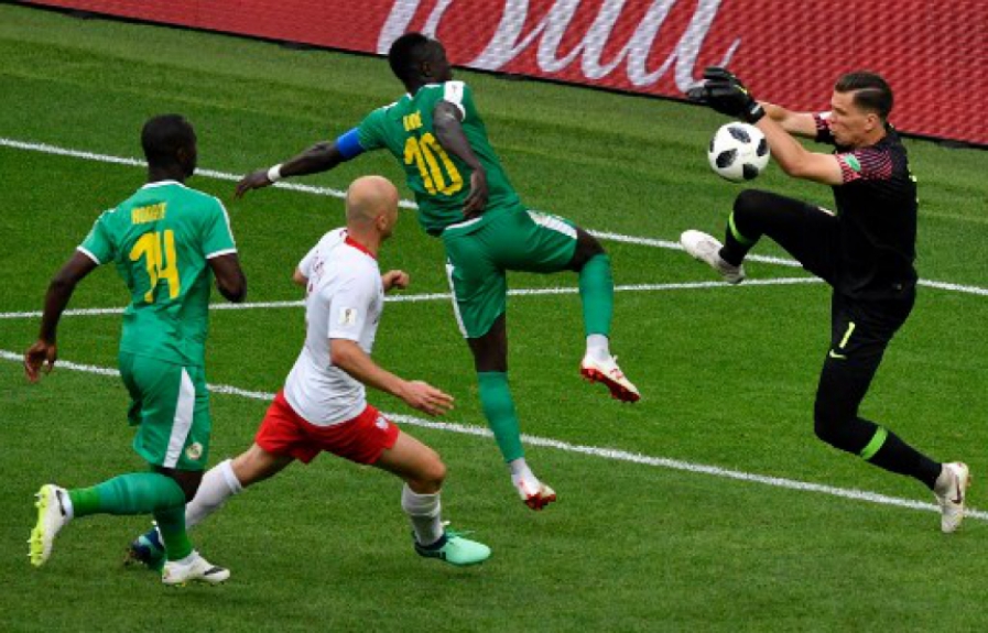 Polônia x Senegal