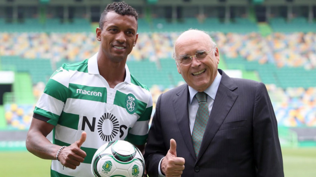 Apresentação Nani