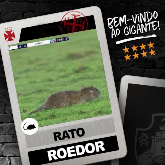 Internet não perdoa invasão de rato durante Vasco x Bahia