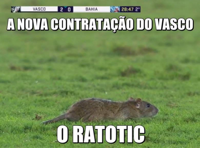 Internet não perdoa invasão de rato durante Vasco x Bahia