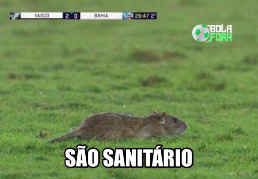 Internet não perdoa invasão de rato durante Vasco x Bahia