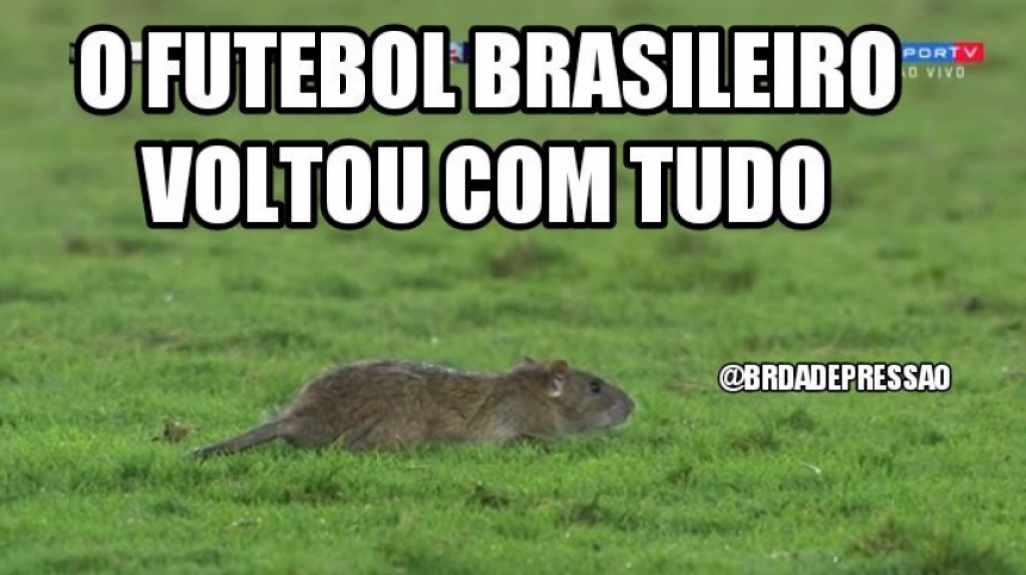 Internet não perdoa invasão de rato durante Vasco x Bahia