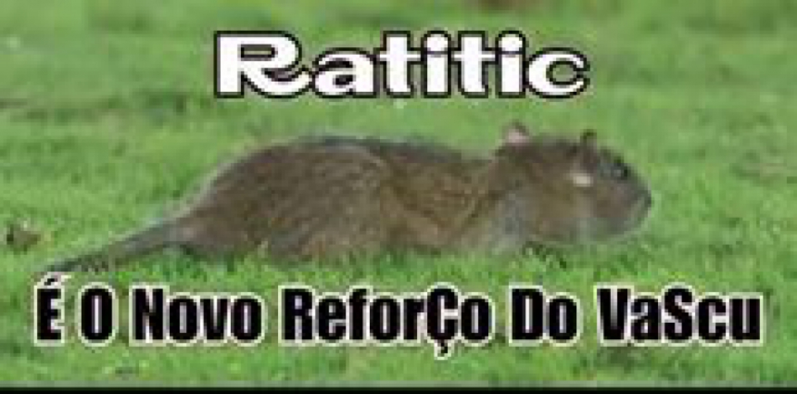 Internet não perdoa invasão de rato durante Vasco x Bahia