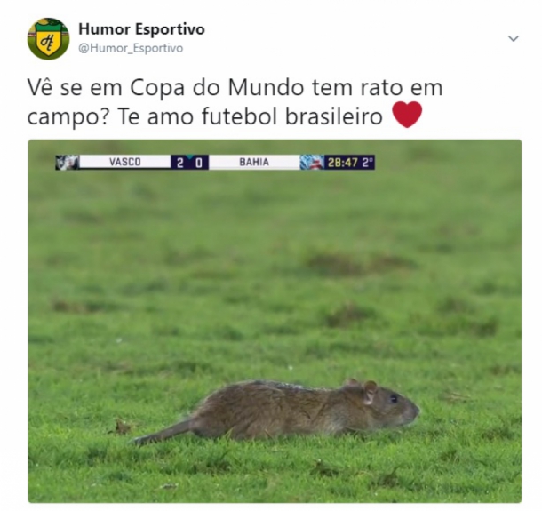 Internet não perdoa invasão de rato durante Vasco x Bahia