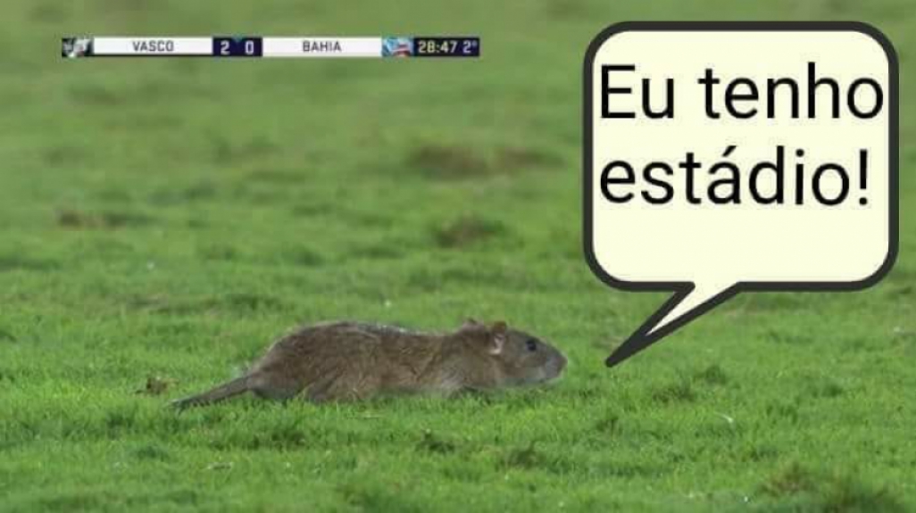Internet não perdoa invasão de rato durante Vasco x Bahia