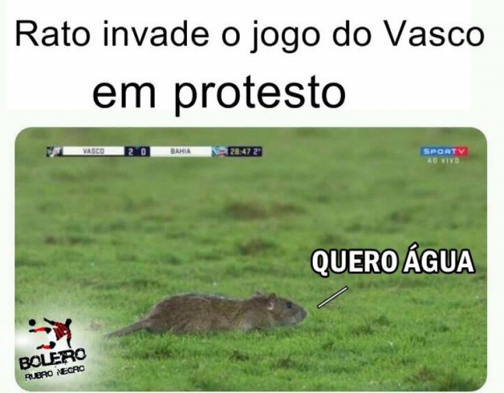 Internet não perdoa invasão de rato durante Vasco x Bahia