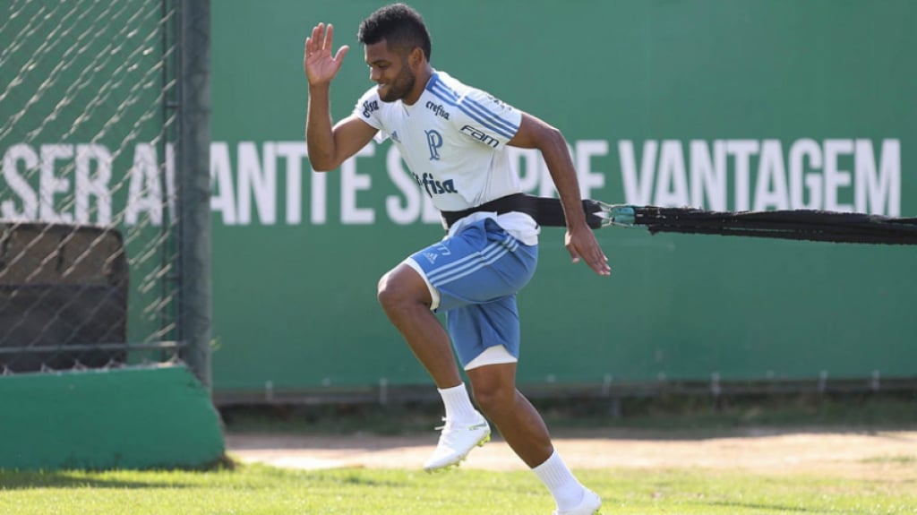 Borja palmeiras