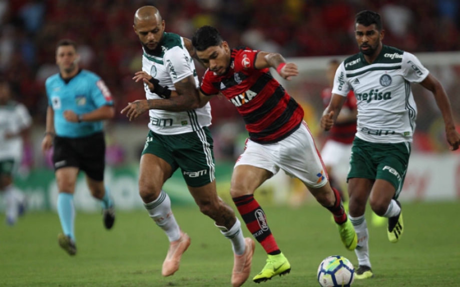 Flamengo x Palmeiras - Felipe Melo