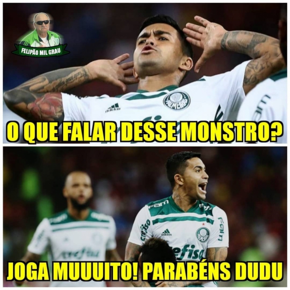Memes mostram empolgação da torcida do Palmeiras