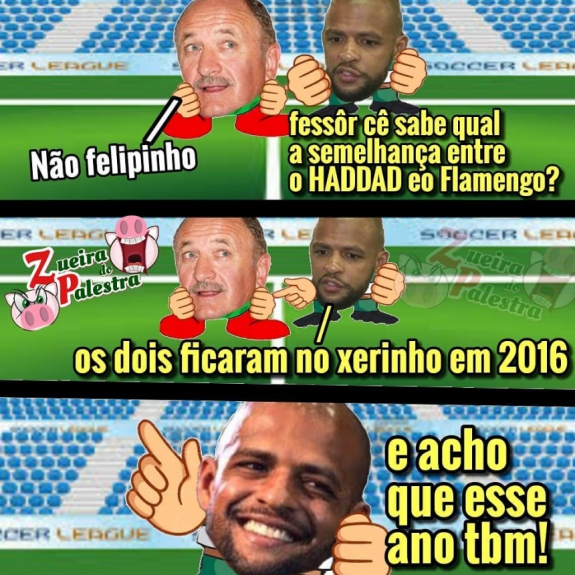 Memes mostram empolgação da torcida do Palmeiras