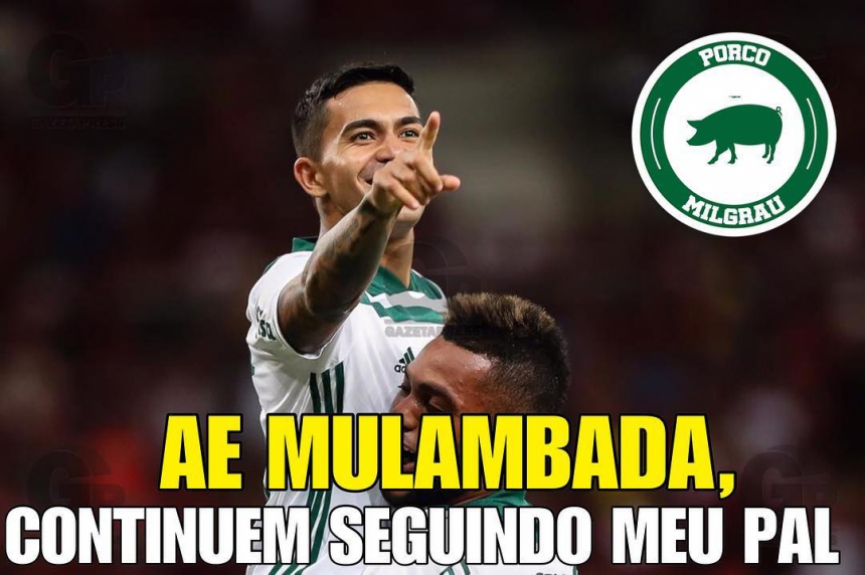 Memes mostram empolgação da torcida do Palmeiras