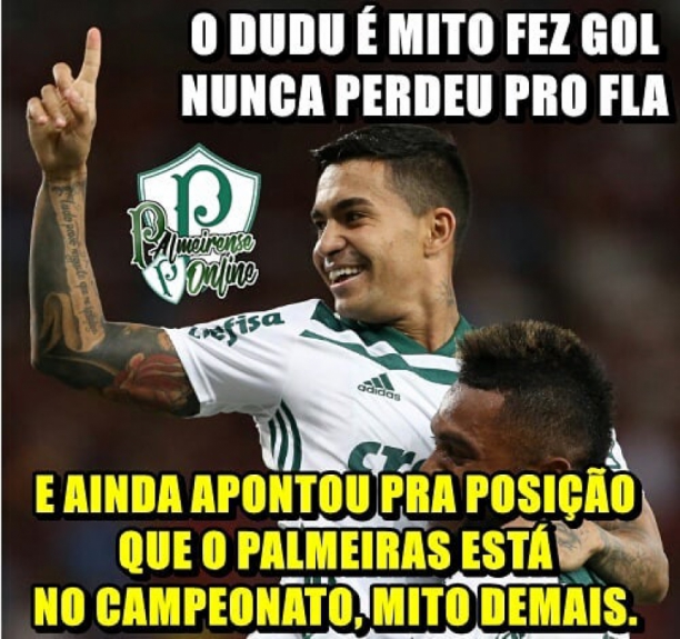 Memes mostram empolgação da torcida do Palmeiras