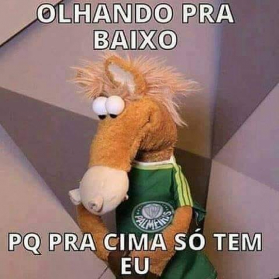 Memes mostram empolgação da torcida do Palmeiras