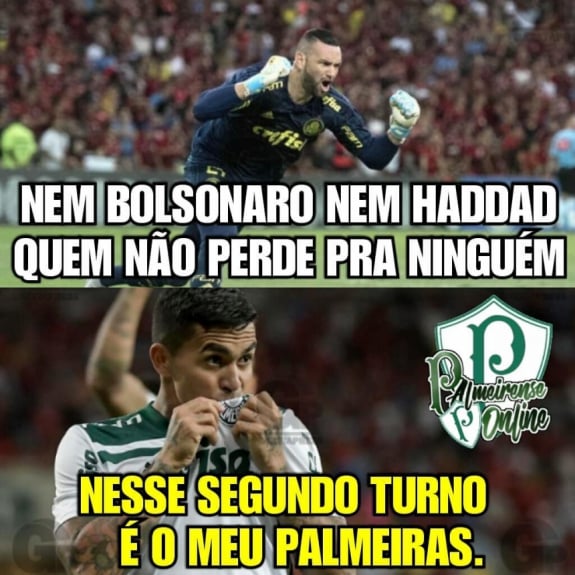 Memes mostram empolgação da torcida do Palmeiras