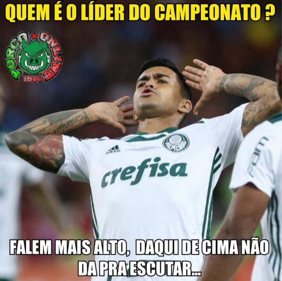 Memes mostram empolgação da torcida do Palmeiras