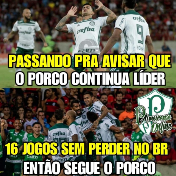 Memes mostram empolgação da torcida do Palmeiras