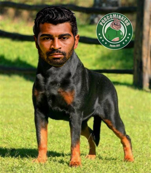 Memes: Palmeiras 3 x 2 Santos