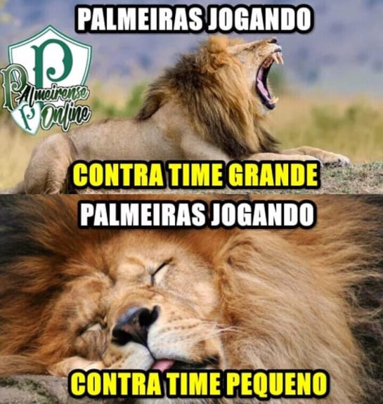 11ª rodada (10/06) - Ceará 2 x 2 Palmeiras