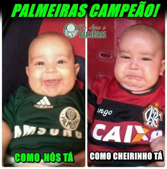 Os melhores memes da conquista do Brasileirão pelo Palmeiras