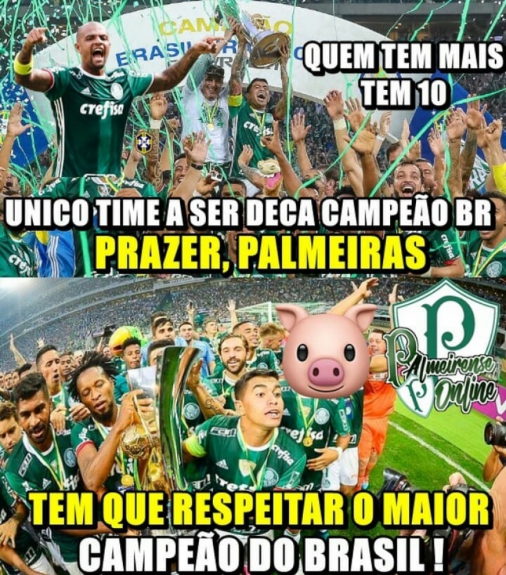 Os melhores memes da conquista do Brasileirão pelo Palmeiras