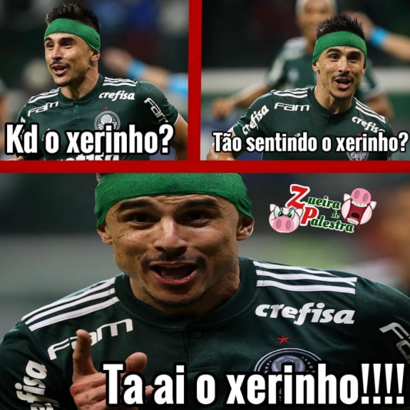 Os melhores memes da conquista do Brasileirão pelo Palmeiras