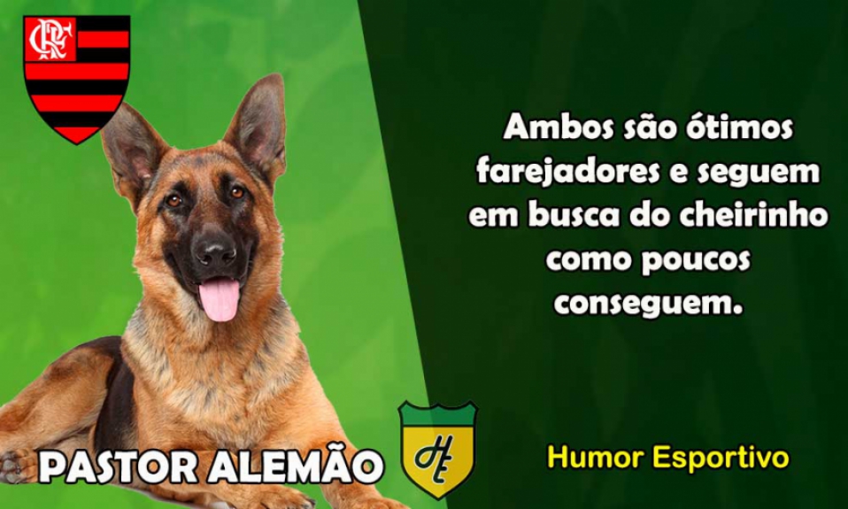 2º) Flamengo / Pastor Alemão