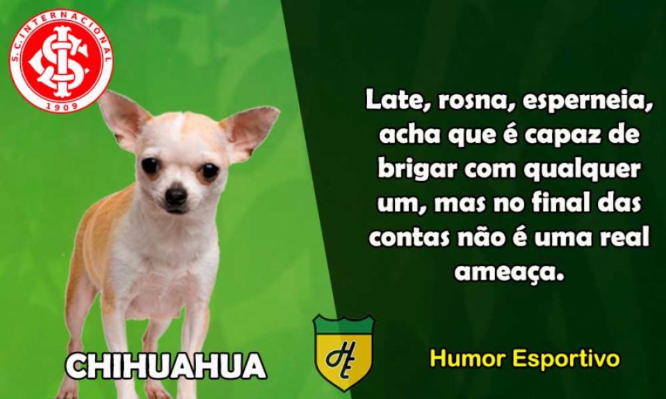 3º) Internacional / Chihuahua