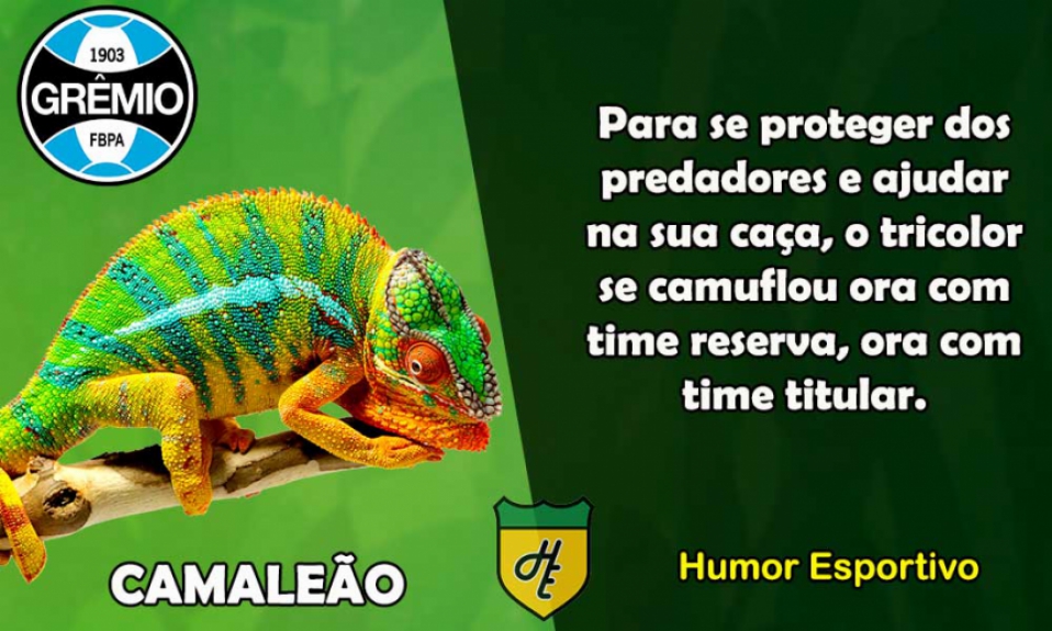 4º) Grêmio / Camaleão