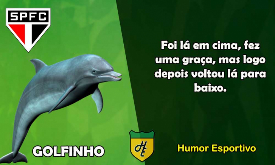 5º) São Paulo / Golfinho