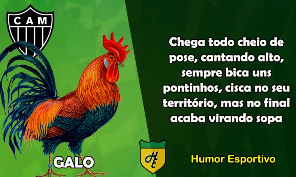 6º) Atlético-MG / Galo
